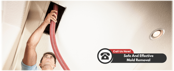 Air Duct Mold Removal in Pasadena