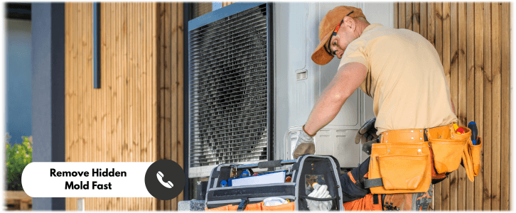 HVAC Mold Removal Pasadena